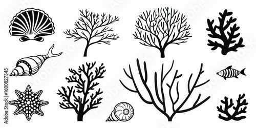 Black and White Sea Life Illustration Depicting Shells Coral Starfish and Fish with Stylized Graphic Marine Organisms on White