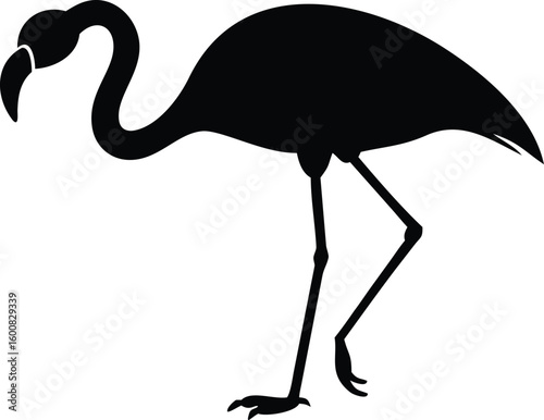 Flamingo Silhouette Black Illustration of a Standing Bird on White Background