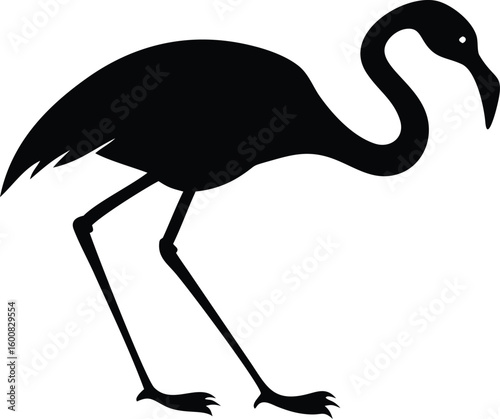 Flamingo Silhouette Standing on White Background, Graceful Bird with Long Legs and Curved Neck