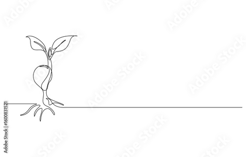 Plant Growth continuous line art drawing