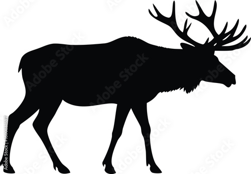 Majestic Moose Silhouette Stunning Illustration of a Wild Animal with Large Antlers on White Background