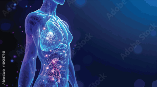Transparent human body anatomy illustration with lungs digestive system and glowing particles.