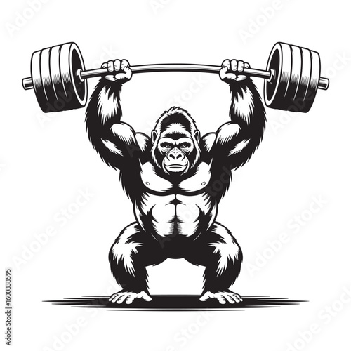 Powerful gorilla athlete demonstrating strength by lifting a heavy barbell overhead in a squat position isolated on white background