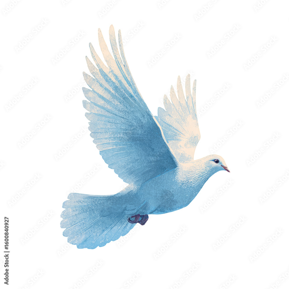 Obraz premium A light blue dove in flight