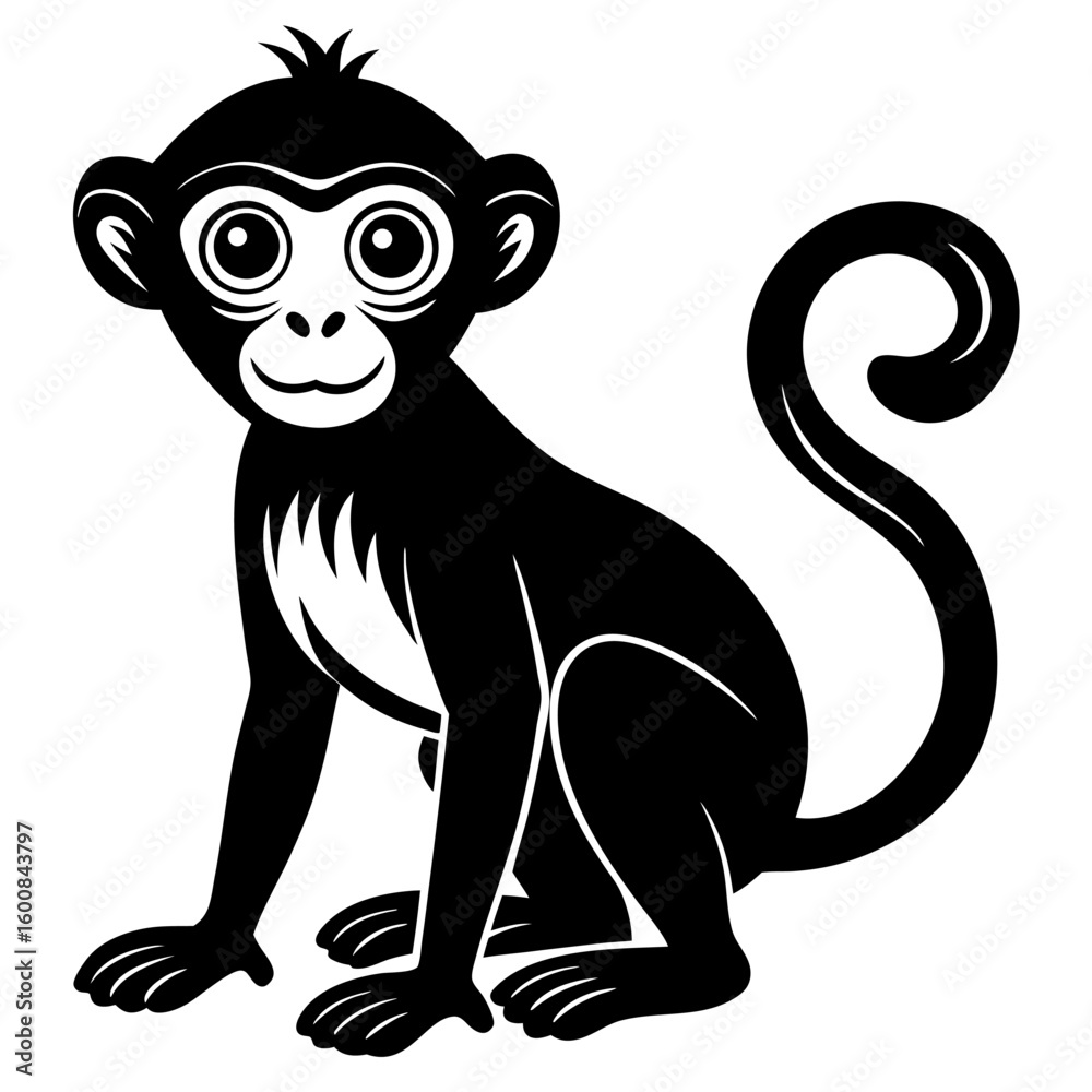 Fototapeta premium Monkey