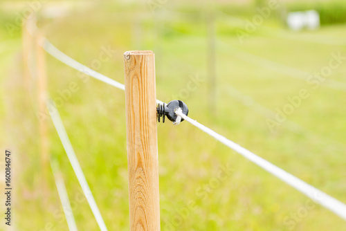 Fence and electric wire