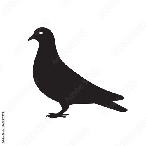 A stark black silhouette of a pigeon standing upright showcasing its distinct shape on a plain white background isolated on white background