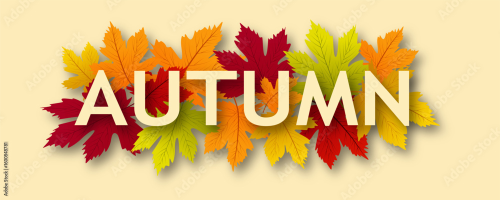 Fototapeta premium Beautiful autumn leaves for background. Autumn poster with colorful leaves. Autumn sale background with beautiful leaves. Vector illustration for design.