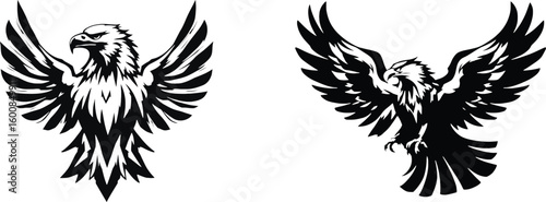 Vector logo eagle, bird icon, eagle silhouette, fierce wings emblem
