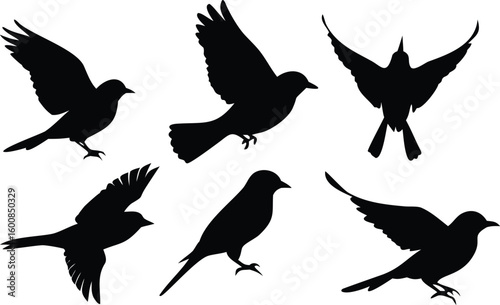 Six Black Bird Silhouettes Flying, Standing, and Taking Flight Against White Background