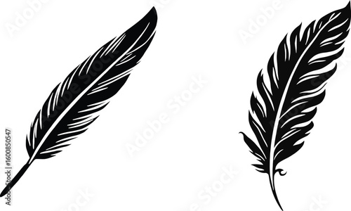 Vector logo feather, quill icon, silhouette plumage, minimalist writing emblem