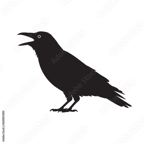Silhouette of a black crow with its beak open perched on its feet isolated on white background