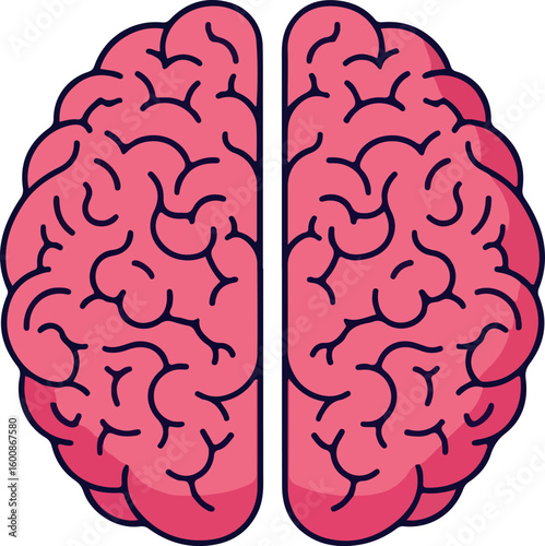 Brain Anatomy and Cognition: A vivid illustration of a human brain, segmented, showcasing the intricate complexity of human thought, memory, and cognitive function.