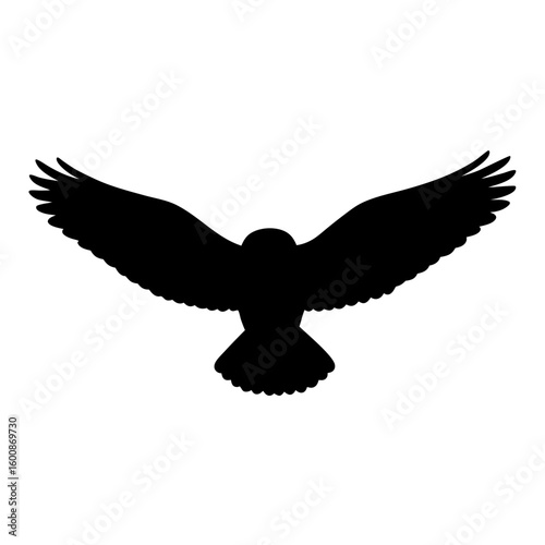 Silhouette of a magnificent bird with wide spread wings gliding gracefully