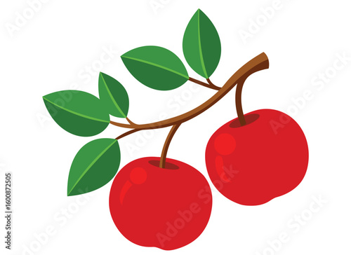 Two Red Apples Hanging on a Branch with Green Leaves Illustration