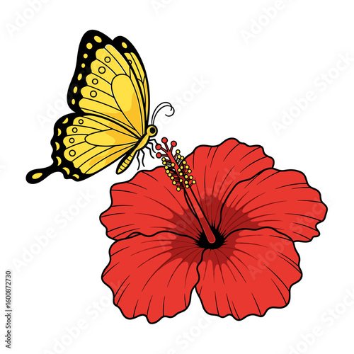 A vibrant yellow butterfly nectars from a large red hibiscus flower.