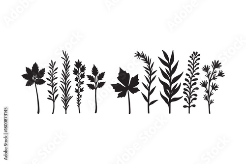Collection of black silhouette botanical elements on white background