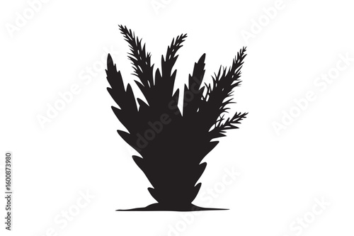 Silhouette of a tall bushy green plant