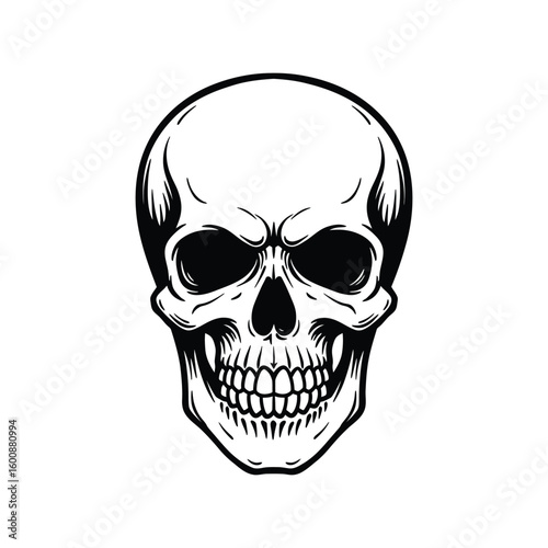 Highly Detailed Black and White Skull Vector Illustration, Human Skeleton Head