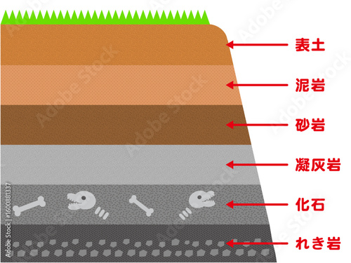 地層の構造の図解イラスト素材2