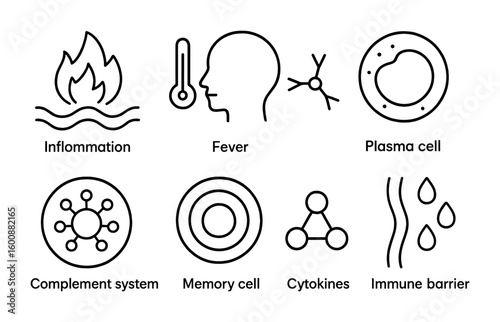 Immune Response Icons. Outline icon set of Immune response stages: inflammation, fever, antigen, plasma cell,