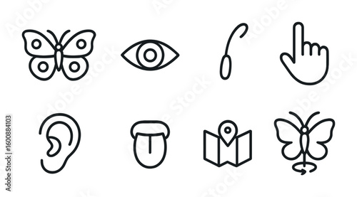 Butterfly Sensory Icon Set. Outline icon set of butterfly sensory abilities: vision, antenna, smell, touch,