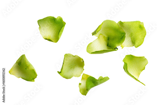 a group of green flowers on a white surface