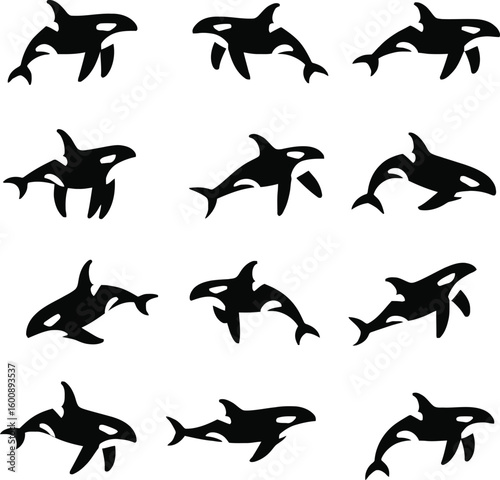 Vector art of a collection of twelve black and white silhouette illustrations of orcas swimming in various dynamic poses against a clean white background