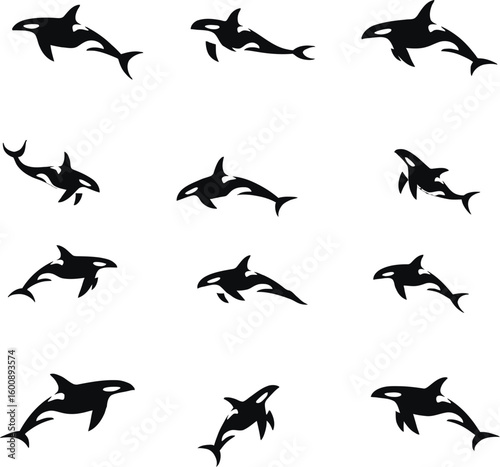 Vector art of a collection of black and white silhouette illustrations of orcas or killer whales swimming and breaching in the ocean