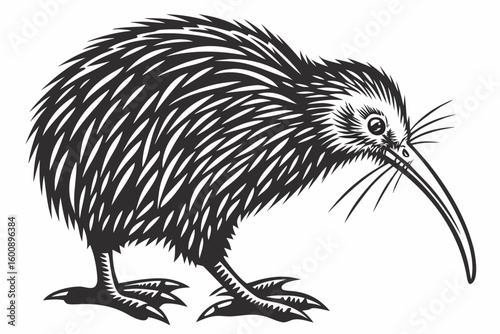 fascinating kiwi sihouette black vector