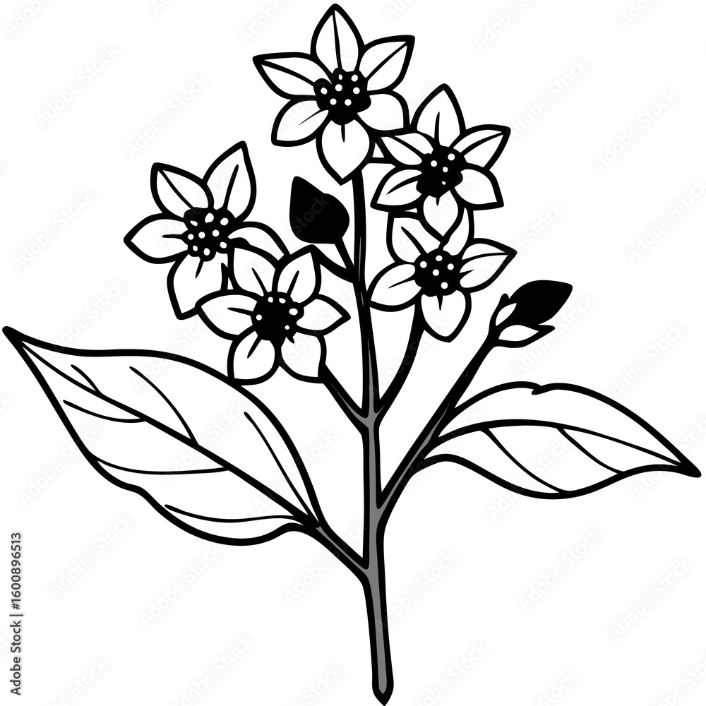 Obraz premium Vector illustration of a flower, Black and white flowers