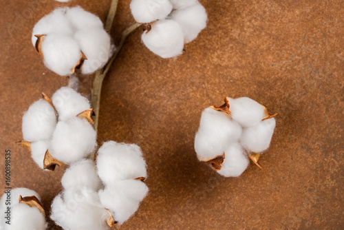 Wallpaper Mural Dry cotton flower on vintage brown background Torontodigital.ca