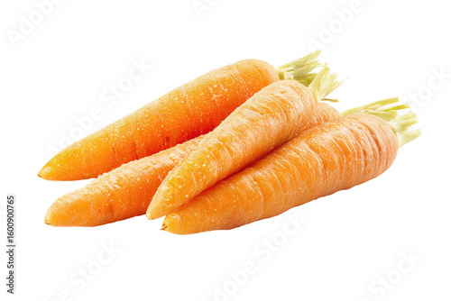 Three fresh, vibrant orange carrots (1)