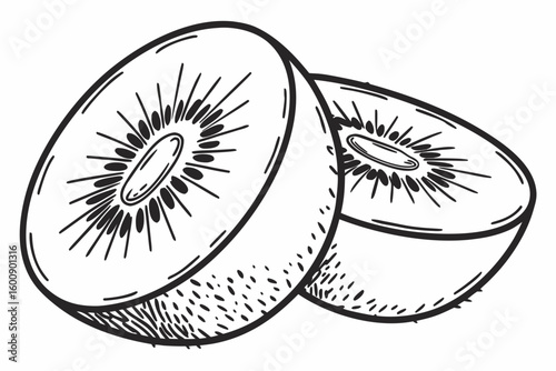 kiwi sihouette black vector