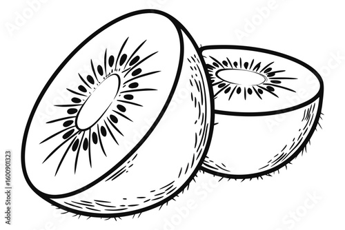 kiwi sihouette black vector