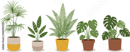 Indoor house plants, tropical potted greenery, decorative foliage, home garden decor, monstera palm fern, botanical interior display, cad drawing flat vector illustration