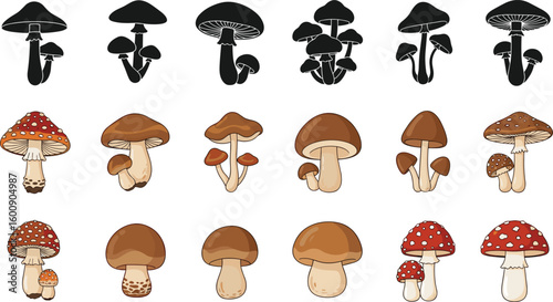 Mushroom species variety, nature illustration set, silhouette and colored fungi, botanical collection, forest mushrooms clip art, spore cap diversity, educational fungus artwork