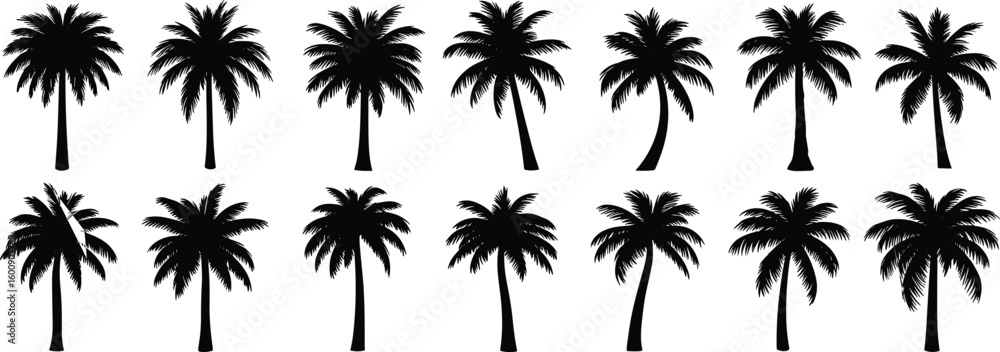 Palm Tree Silhouette Pack, Tropical Nature Icons, Black Vector Clipart for Summer Design, Coastal Vibes, Jungle Elements, Exotic Plant Set for Adobe Stock Palm Tree Silhouette Pack, Tropical Nature Icons, Black Vector Clipart for Summer Design, Coastal Vibes, Jungle Elements, Exotic Plant Set for Adobe Stock
