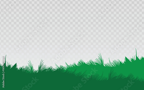 Lush green grass border design with natural textures, ideal for nature-themed backgrounds, spring and summer concepts, or outdoor graphic elements.