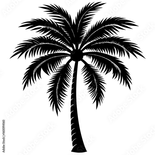 silhouette of palm tree