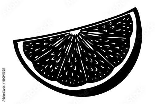 vector illustration of a fish