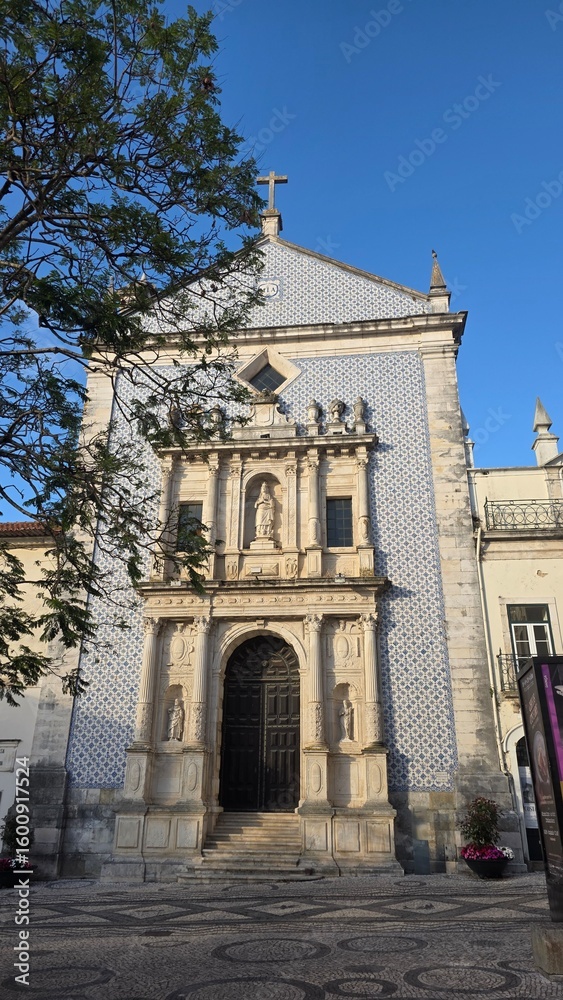 Obraz premium detail and landscape of the city of aveiro, portugal