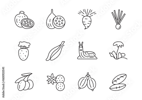 Simple line art icons of fruits vegetables and a snail on white background food healthy