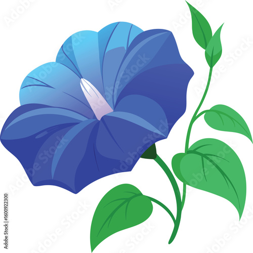 Vibrant blue morning glory flower with green leaves