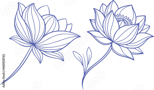 Elegant blue lotus flower line art illustration with delicate petals and minimal design, perfect for tattoo art, decorative patterns, and floral vector drawings representing peace and purity.