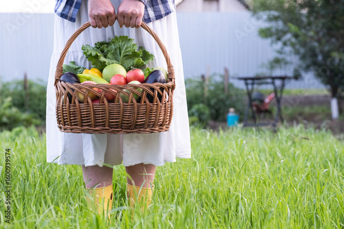 Fototapeta Naklejka Na Ścianę i Meble -  In a lovely garden, a woman in a stunning white dress holds a basket full of fresh vegetables and fruits in the garden.