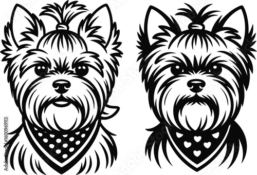 Yorkshire terrier dog black silhouette line art vector illustration