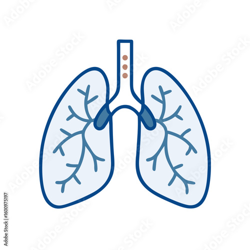 Human lungs illustration in blue outline style with veins and bronchi  