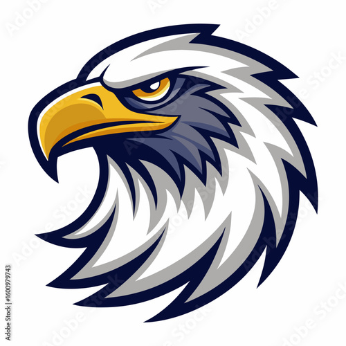 Eagle Illustration vector design, Eagle logo, icon Design, Colorful Eagle Head vector design