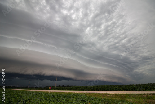 A shelf cloud accompanies a line of severe storms, with corn and bean fields in the foreground.